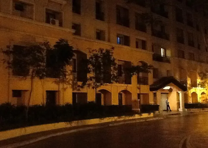 Palm Tree Genlex *